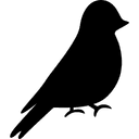 Birds and Bees: On Campus